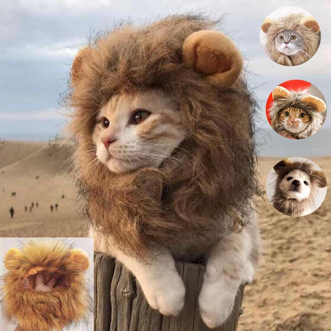 Lion Mane Cat Costume - QZ Pets