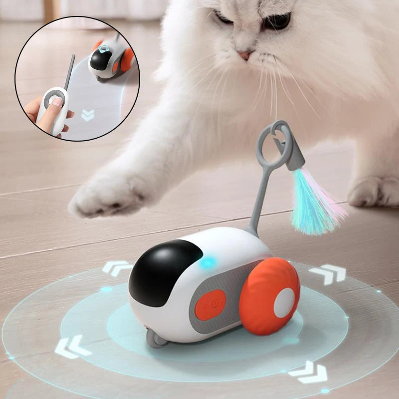 Crazy-Joy Car Interactive Cat Toy with USB Charging - QZ Pets