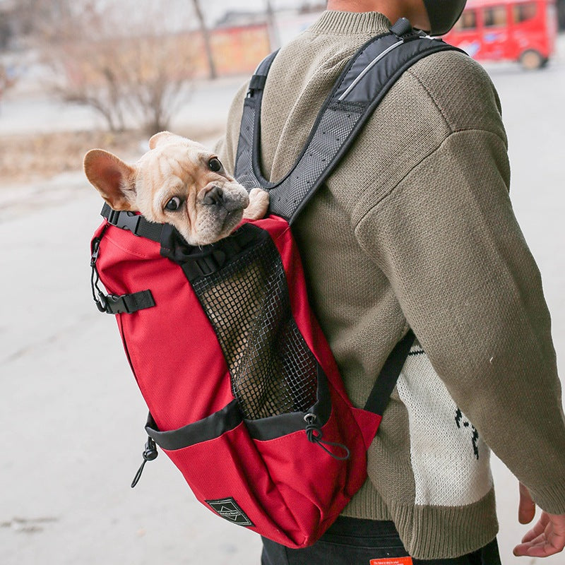 Pet Carrier Bag - QZ Pets