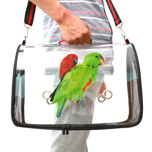 Portable Transparent Bird Cage - QZ Pets