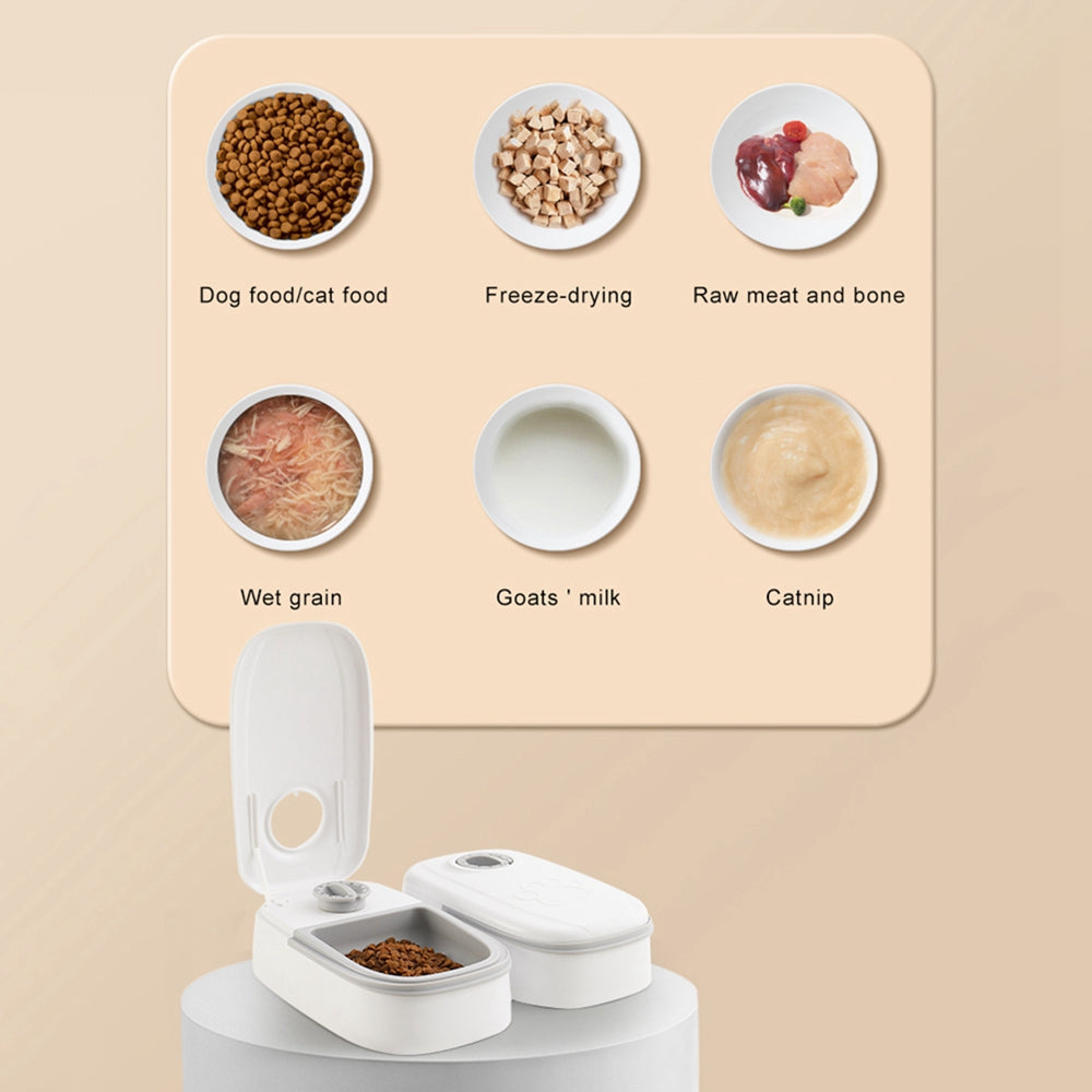 Gravity Food Feeder with Timer - QZ Pets