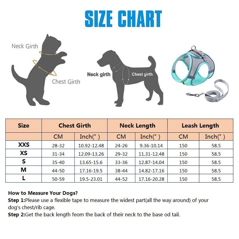 Escape Proof Small Pet Harness Leash Set - QZ Pets