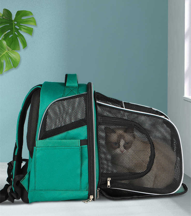 Pets Go Out - Pet Carrier Backpack - QZ Pets