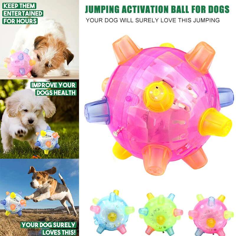 Jumping Activation Ball - QZ Pets