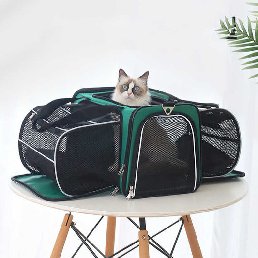 Pets Go Out - Pet Carrier Backpack - QZ Pets