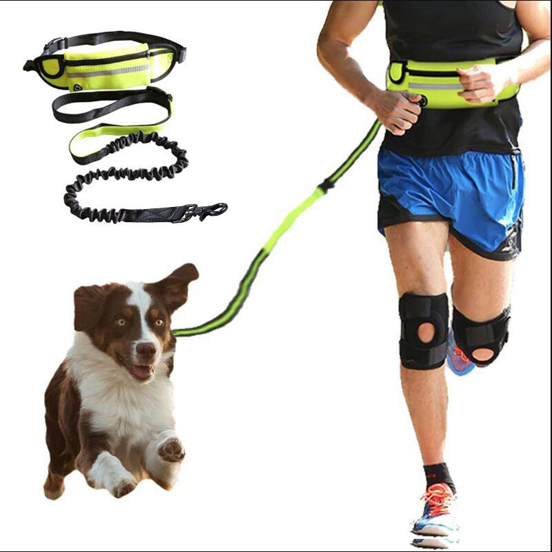 Shock Absorbing Bungee Leash with Training Belt and Water Bottle Holder - QZ Pets