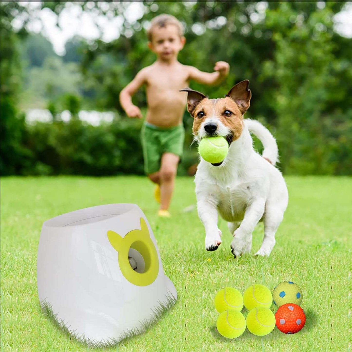 Automatic Dog Ball Launcher - QZ Pets