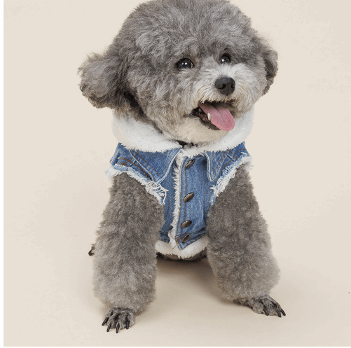 Justin - Denim Dog Jacket - QZ Pets