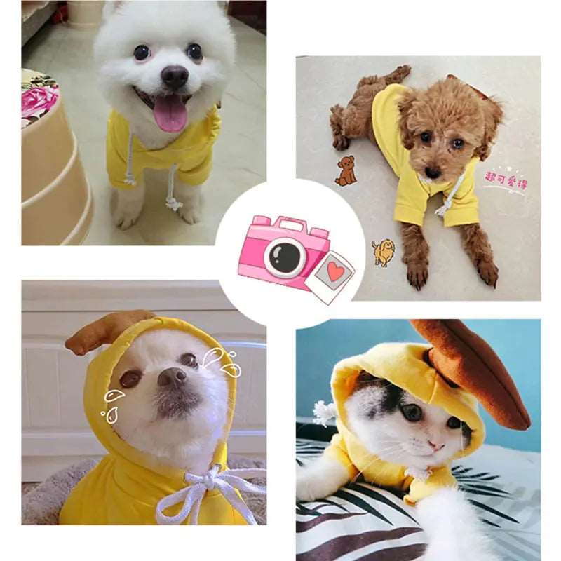 PawsPlay Costume Dog Hoodies - QZ Pets