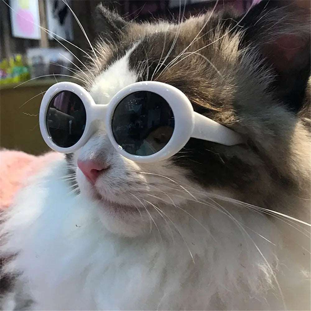 "Trendy" Round Pet Sunglasses - QZ Pets