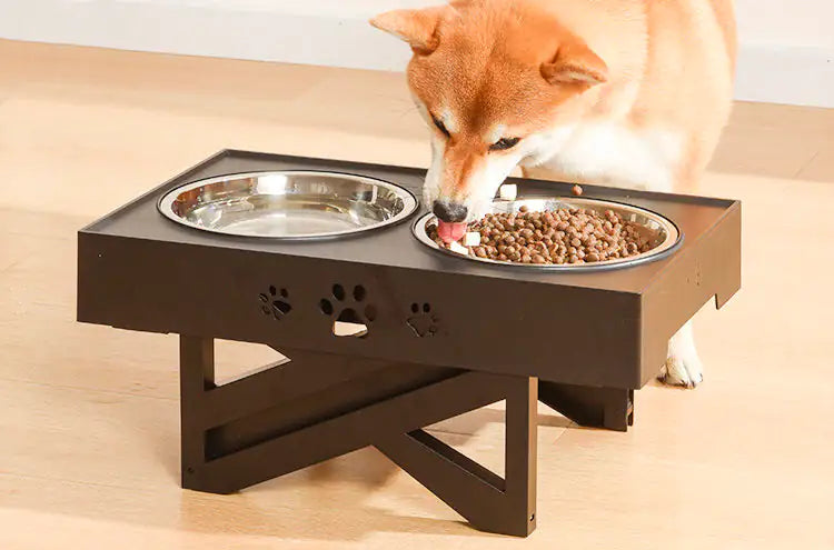Adjustable Height Double-Bowl Pet Support Table - QZ Pets