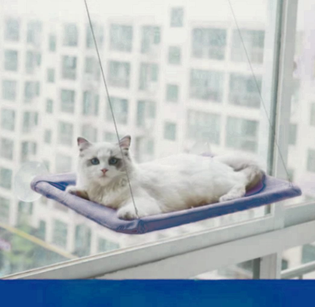 Suspended Cat Bed and Pet Hair Remover - QZ Pets