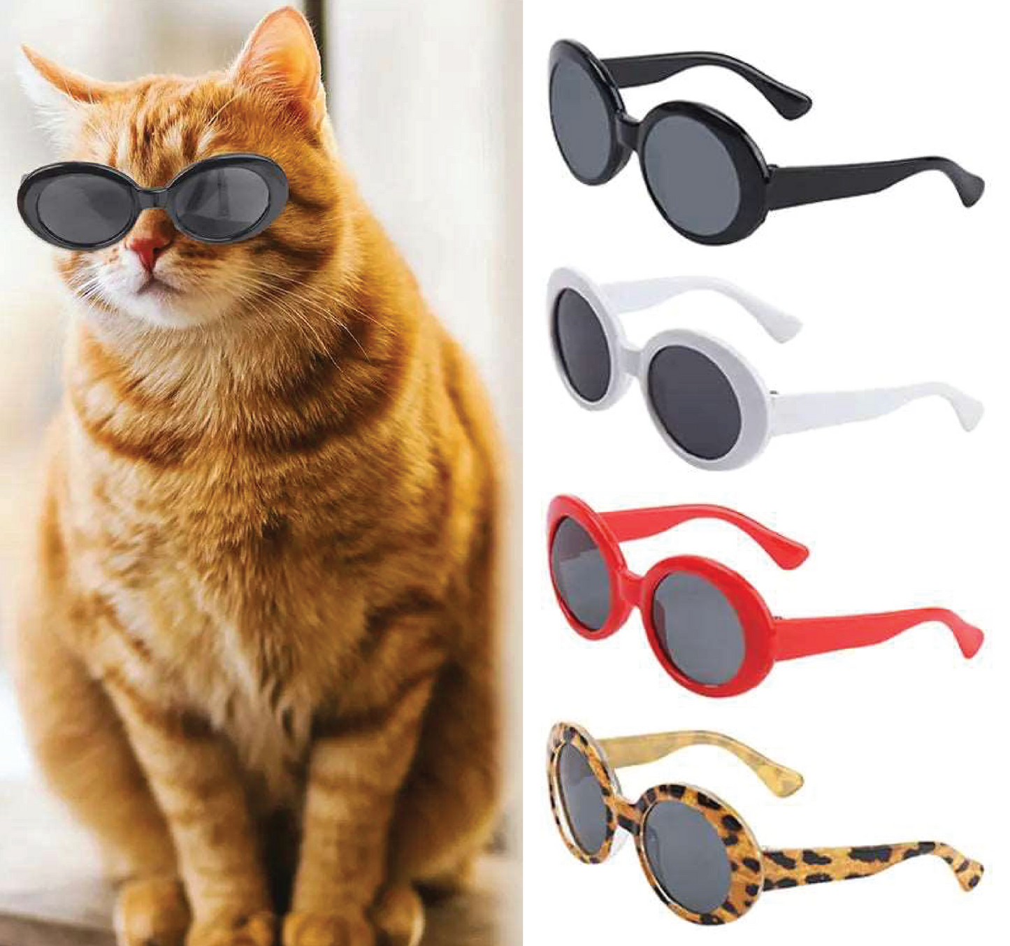 Cat wearing round pet sunglasses