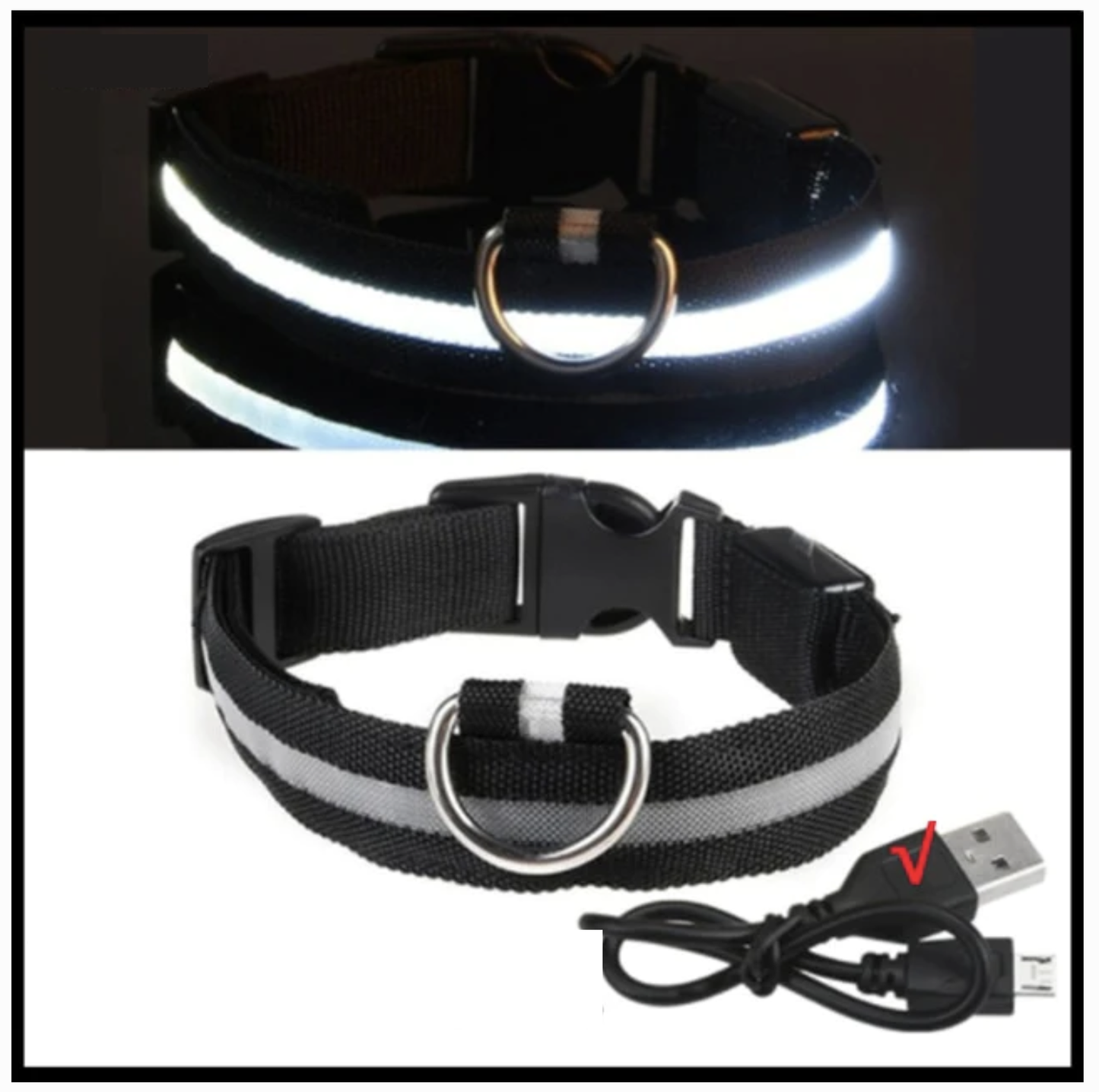 LED Glowing Dog Collar - QZ Pets