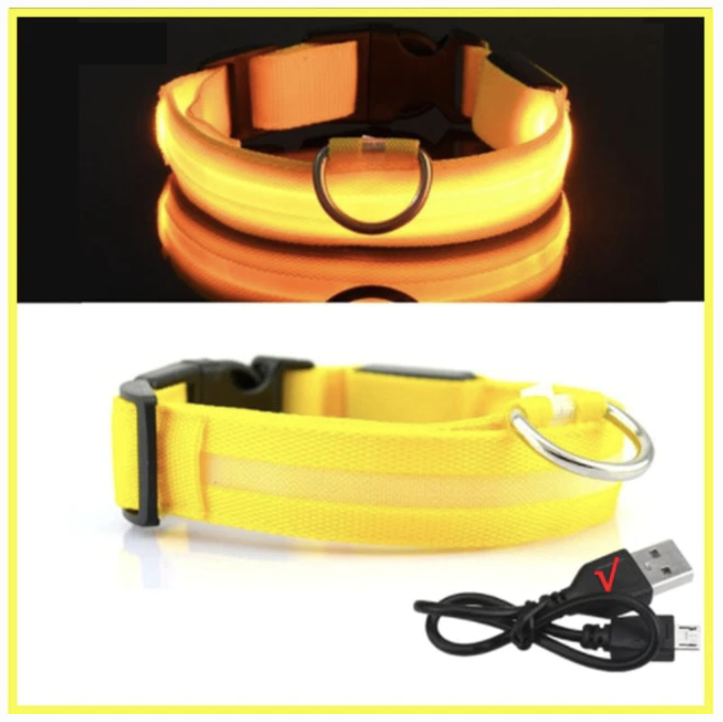 LED Glowing Dog Collar - QZ Pets