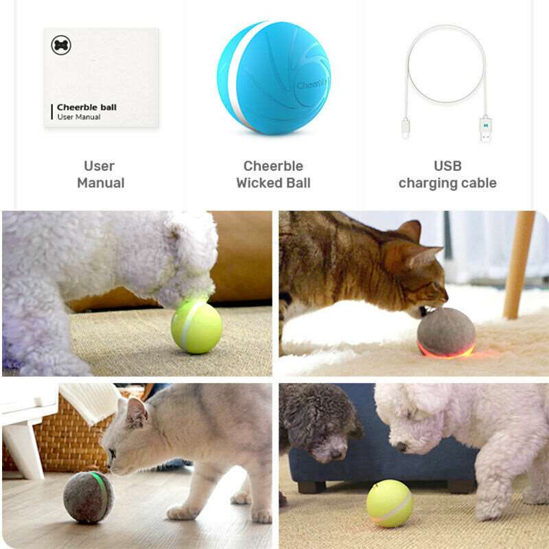 My Interactive Pet® Pal Play Ball - QZ Pets