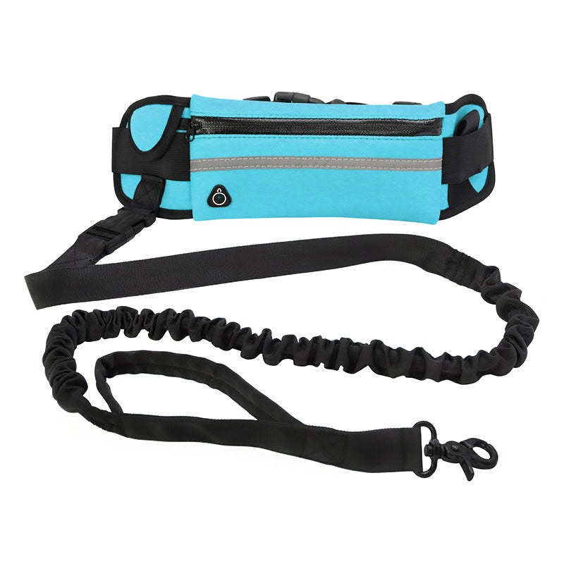 Shock Absorbing Bungee Leash with Training Belt and Water Bottle Holder - QZ Pets