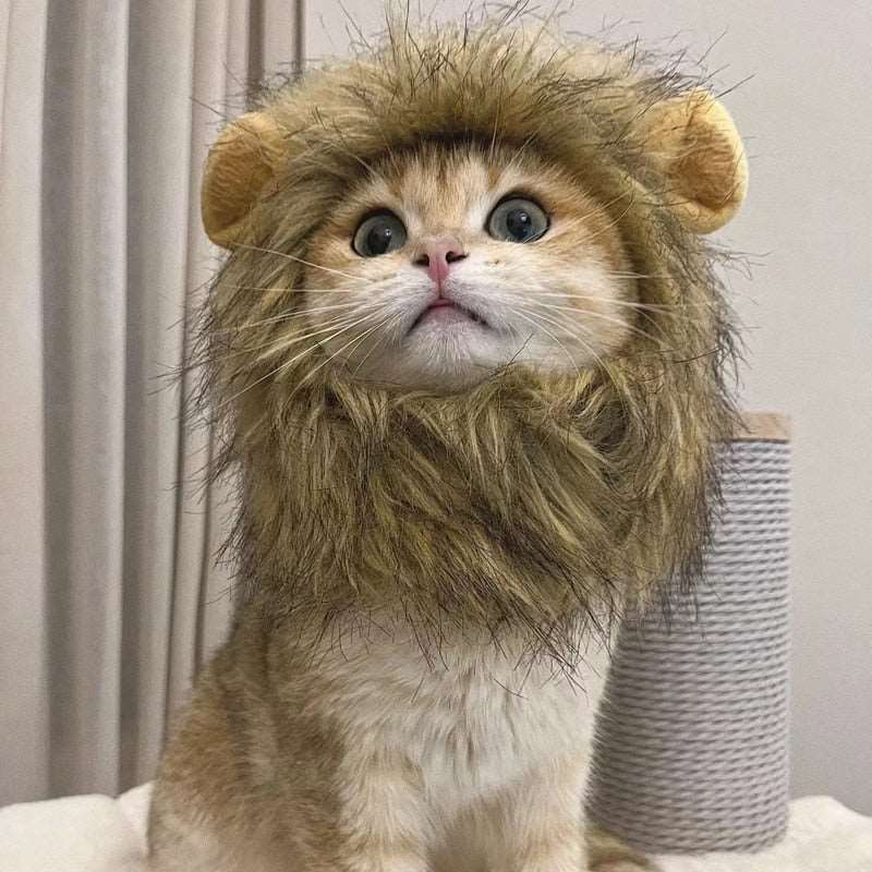 Lion Mane Cat Costume - QZ Pets