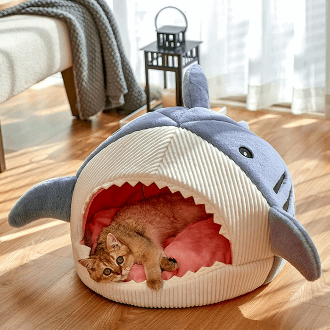 Comfy "Shark" Pet Bed - QZ Pets