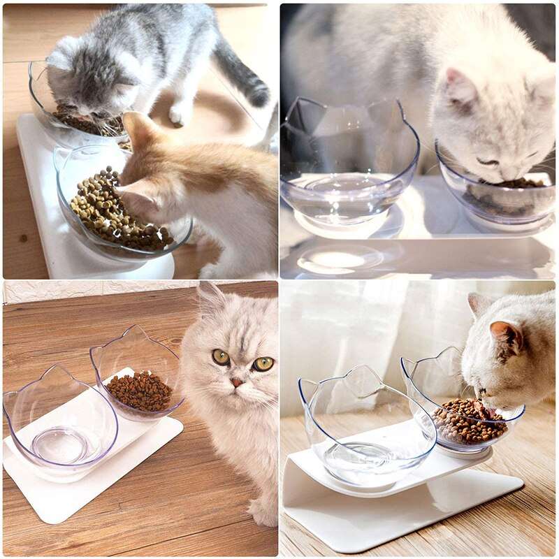 Double Water / Food Bowl With Raised Stand - QZ Pets