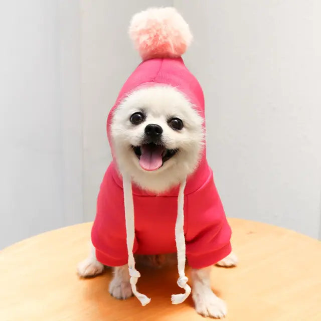 PawsPlay Costume Dog Hoodies - QZ Pets