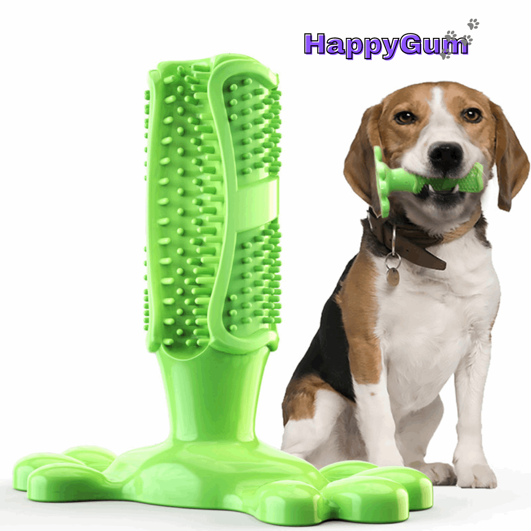 HappyGum® Dog Dental Care Kit - QZ Pets