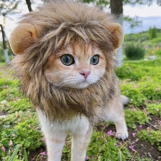 Lion Mane Cat Costume - QZ Pets