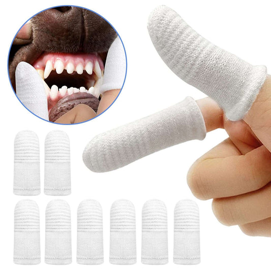 CleanPaw FingerBristle Pet Toothbrush - QZ Pets