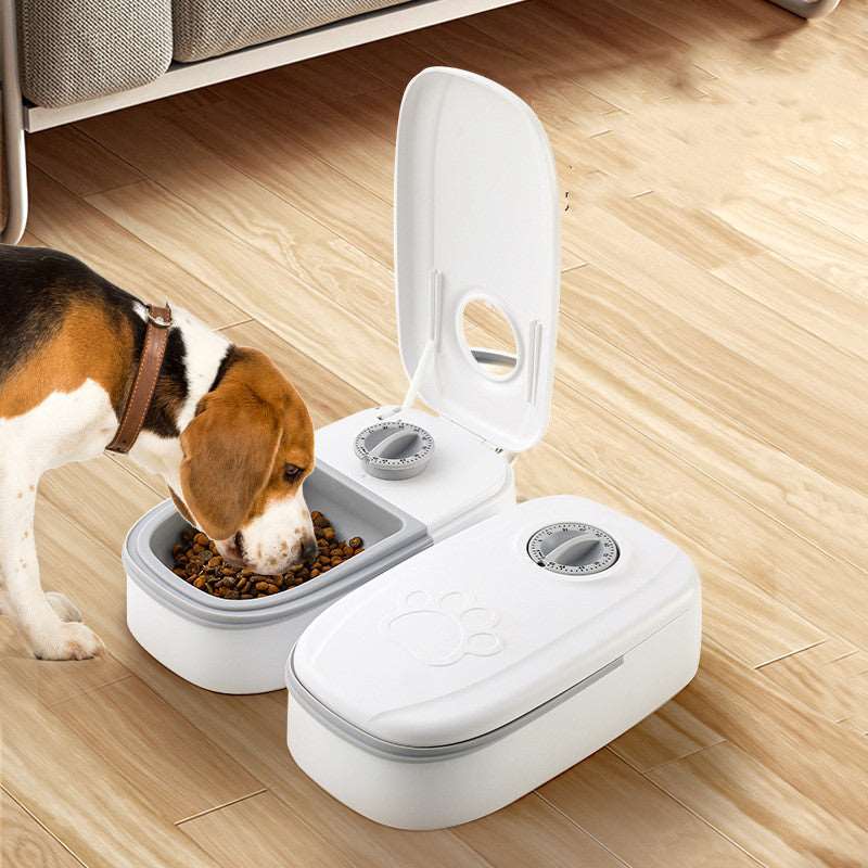 Gravity Food Feeder with Timer - QZ Pets