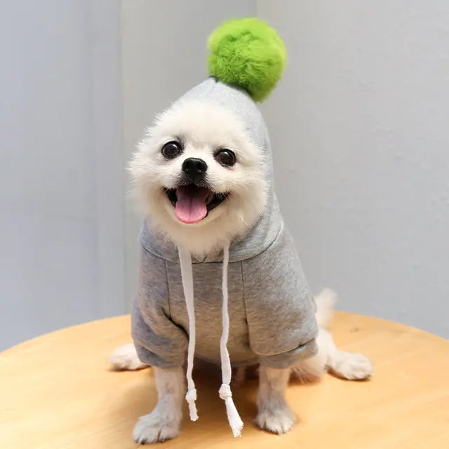 PawsPlay Costume Dog Hoodies - QZ Pets