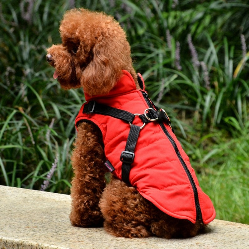 Waterproof Pet Coat with Harness - QZ Pets