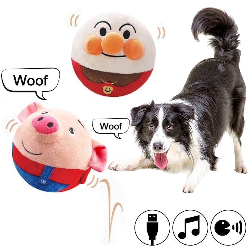 PetPalz: Interactive Talking Ball for Pets - QZ Pets