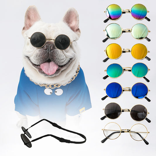 Pet Sunglasses - QZ Pets