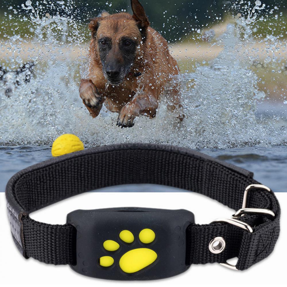 Pet GPS Tracker Collar - QZ Pets