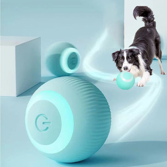 Auto Rolling Self-Moving Dog Toy - QZ Pets