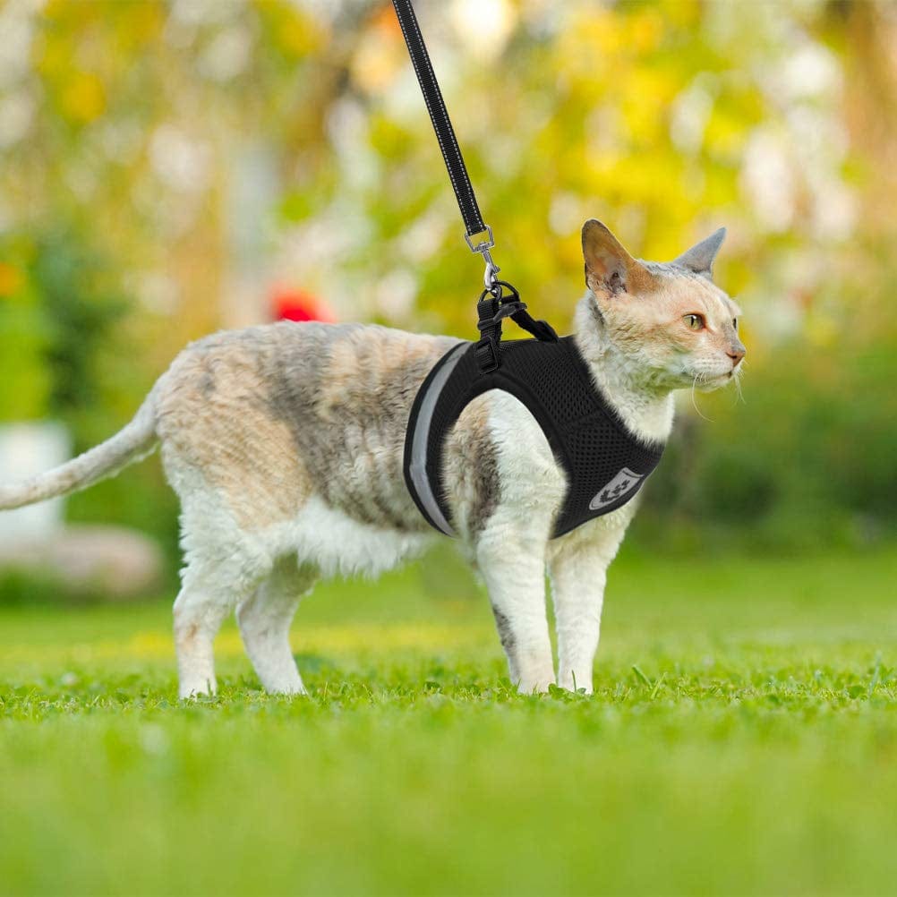 CozyCat Pet Harness and Leash Combo - QZ Pets