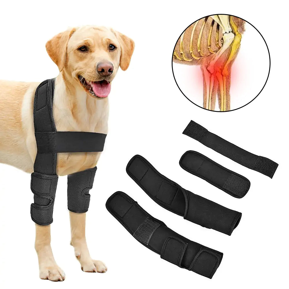 Pet Leg Support Brace - QZ Pets