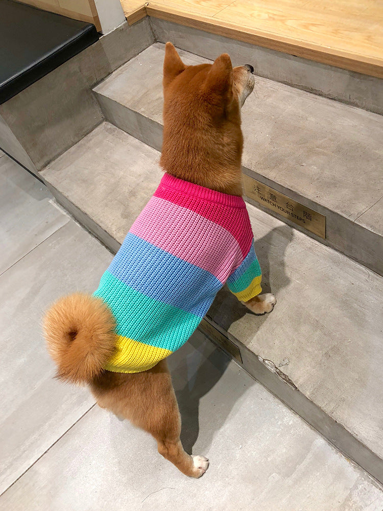 Puppy Knitted Rainbow Sweater - QZ Pets