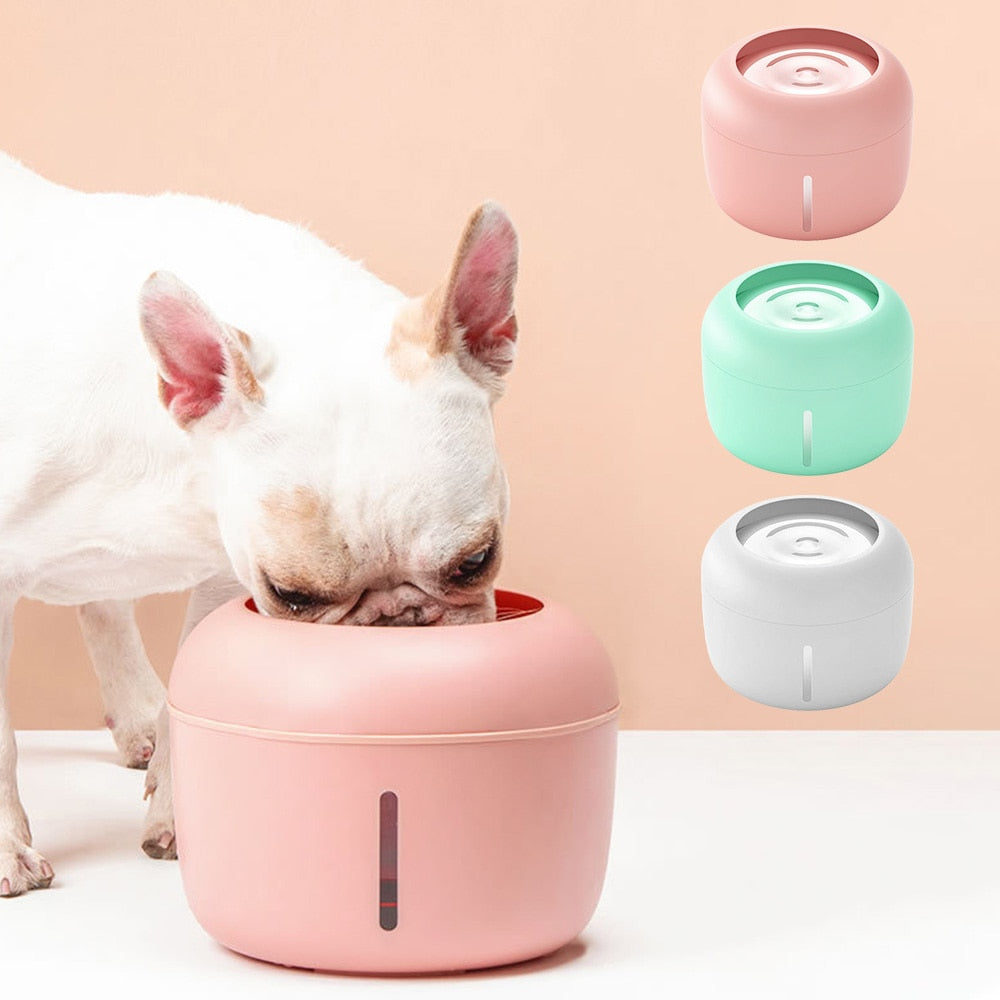 Pet Drinking Bowl - QZ Pets