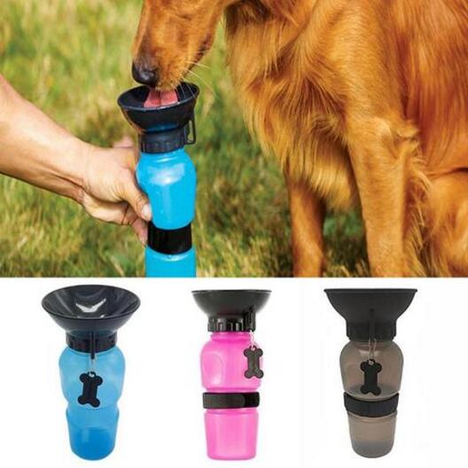 Portable Pet Water Bottle - QZ Pets