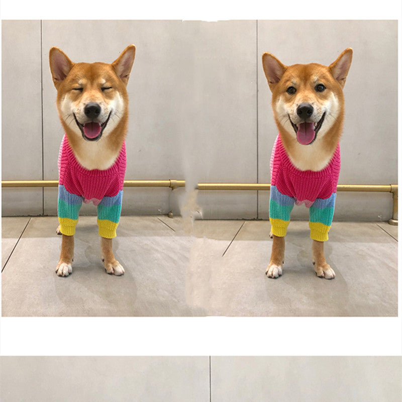 Puppy Knitted Rainbow Sweater - QZ Pets