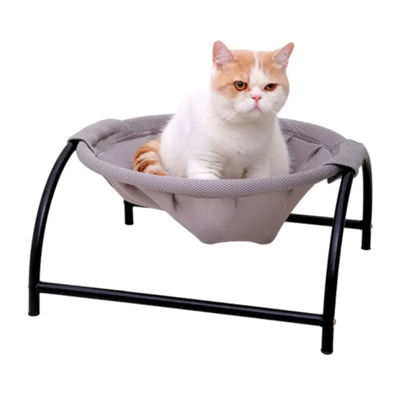 Iron Frame Pet Hammock - QZ Pets