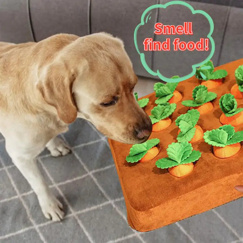 Pet Vegetable Chew Toy - QZ Pets
