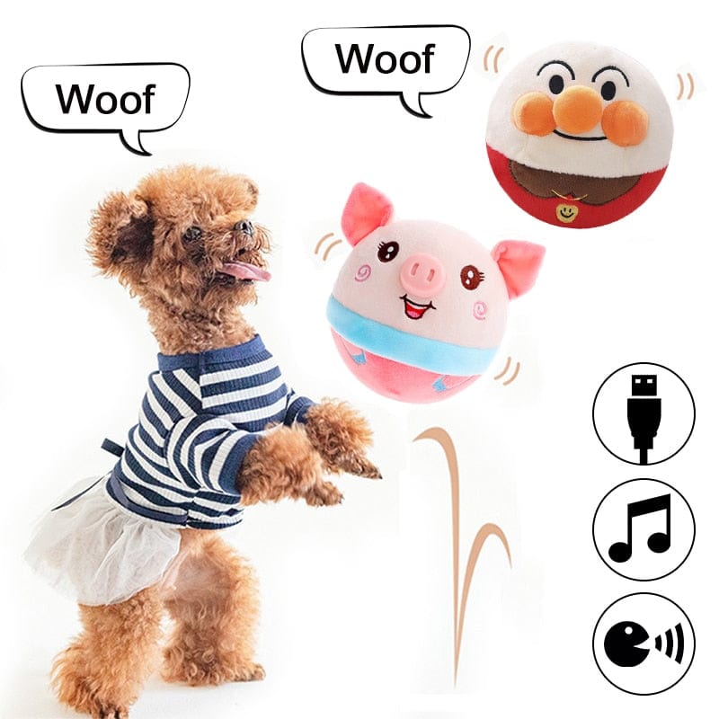 PetPalz: Interactive Talking Ball for Pets - QZ Pets