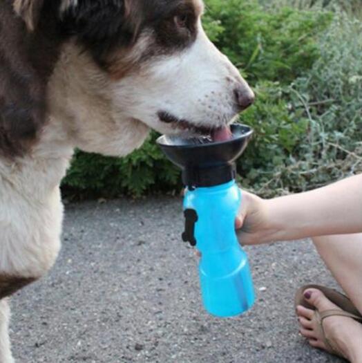 Portable Pet Water Bottle - QZ Pets