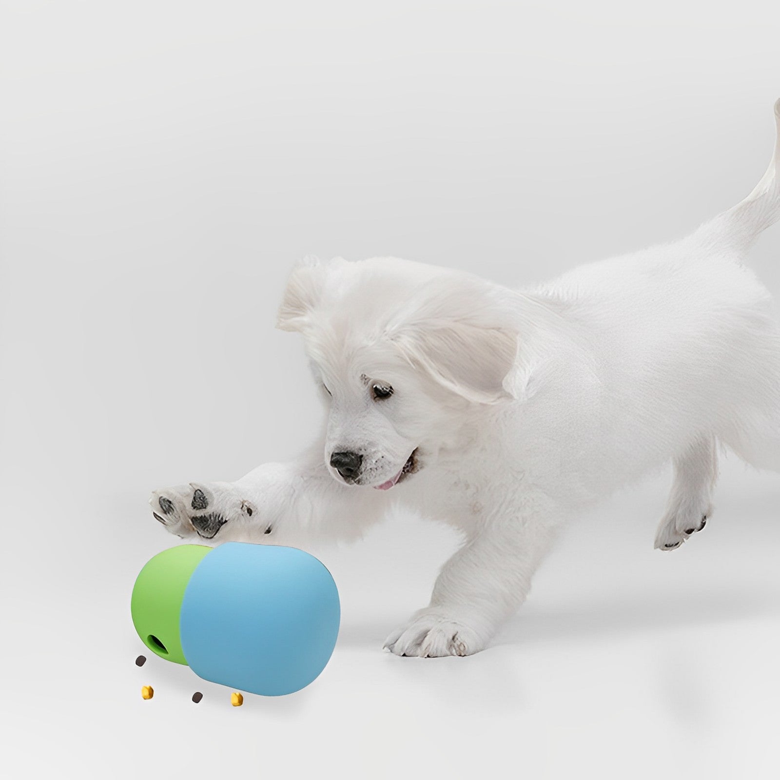 Interactive Pet Food Ball - QZ Pets