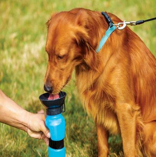 Portable Pet Water Bottle - QZ Pets