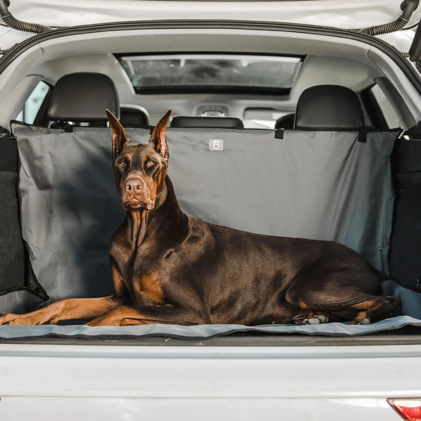 Pet Cargo Cover - QZ Pets