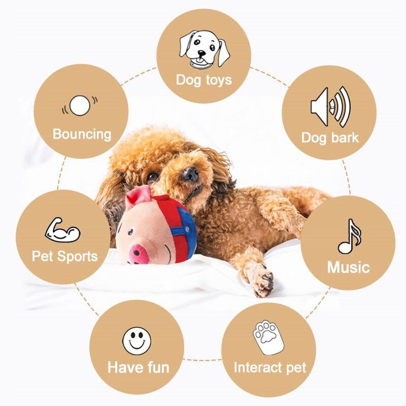 PetPalz: Interactive Talking Ball for Pets - QZ Pets