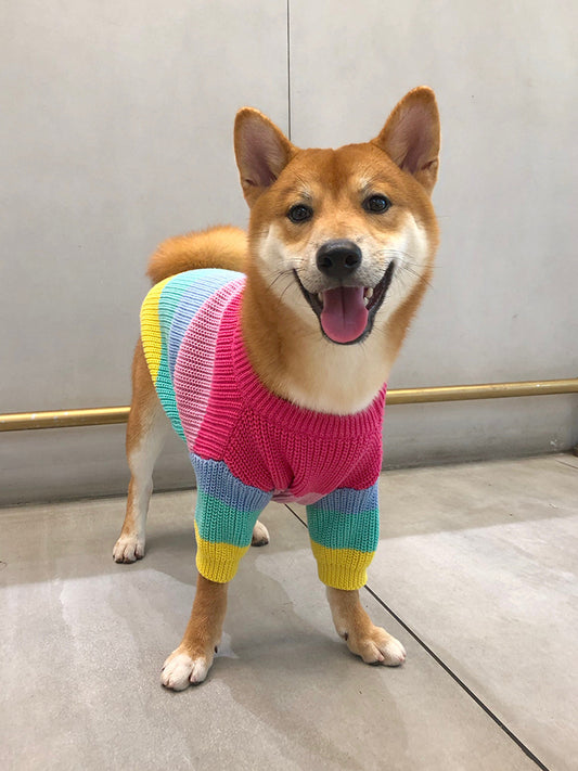 Puppy Knitted Rainbow Sweater - QZ Pets